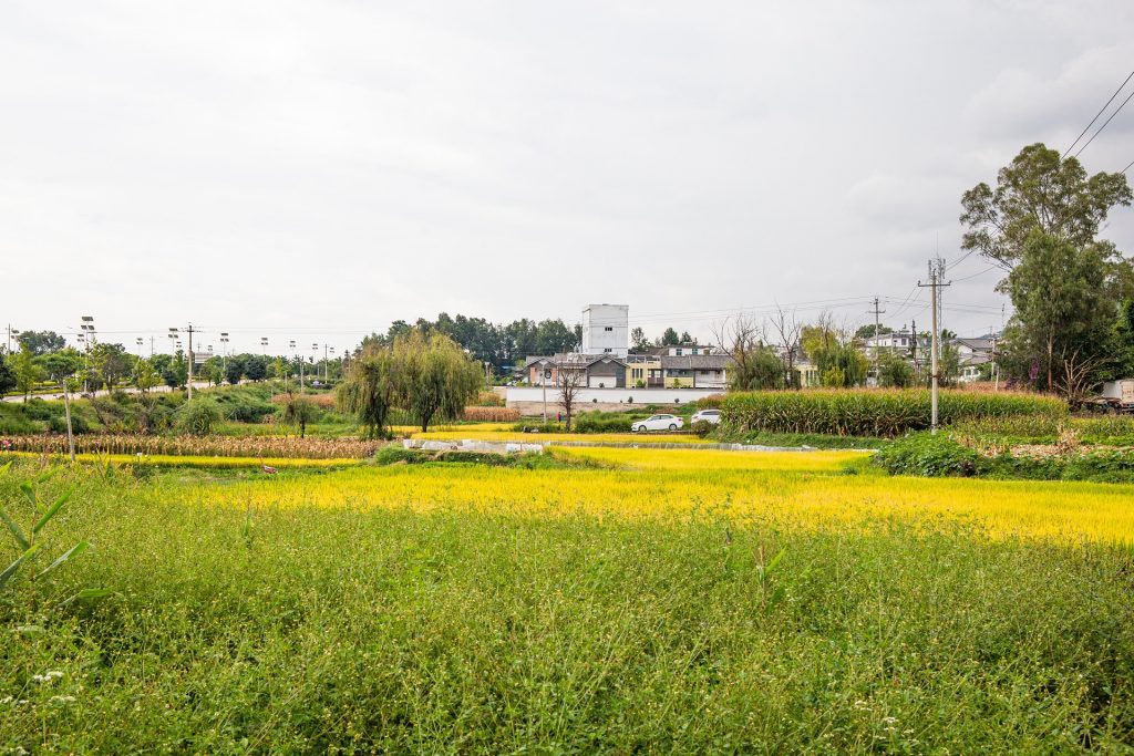 2022年合浦县石康镇高标准农田建设项目